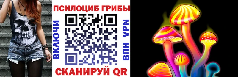 ссылка на мегу онион  Дно  Псилоцибиновые грибы Magic Shrooms  где купить  